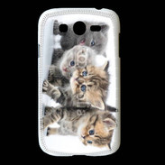 Coque Samsung Galaxy Grand Groupe de chatons 7