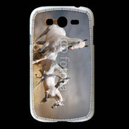 Coque Samsung Galaxy Grand Groupe de chevaux blancs