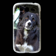 Coque Samsung Galaxy Grand Border collie 500