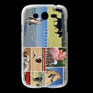 Coque Samsung Galaxy Grand Beauté de la camargue