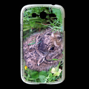 Coque Samsung Galaxy Grand Lapin sauvage PB 1