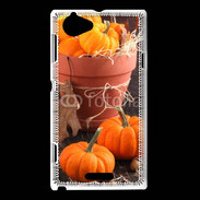 Coque Sony Xperia L Citrouilles 3