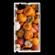 Coque Sony Xperia L fond de citrouilles automne
