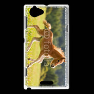 Coque Sony Xperia L Poulain dans un champs