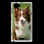 Coque Sony Xperia L Chien Colley marron et blanc