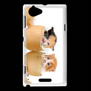 Coque Sony Xperia L Chaton dans des coquilles d'oeuf