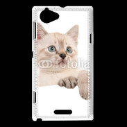 Coque Sony Xperia L Petit chaton en portrait