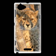 Coque Sony Xperia L Jeune félin