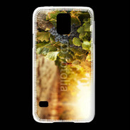 Coque Samsung Galaxy S5 Pied de vigne en automne