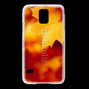 Coque Samsung Galaxy S5 feuilles d'automne