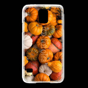 Coque Samsung Galaxy S5 fond de citrouilles automne