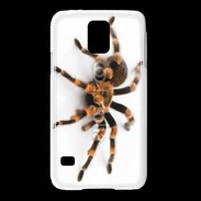 Coque Samsung Galaxy S5 Araignée tarentule