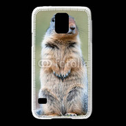 Coque Samsung Galaxy S5 Marmotte 2