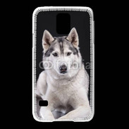 Coque Samsung Galaxy S5 Chien Husky de Sibérie