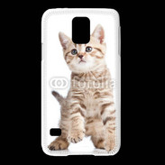 Coque Samsung Galaxy S5 Adorable chaton 7