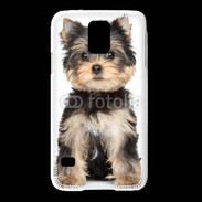 Coque Samsung Galaxy S5 Chiot Yorkshire terrier 25