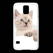 Coque Samsung Galaxy S5 Petit chaton en portrait