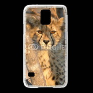 Coque Samsung Galaxy S5 Jeune félin