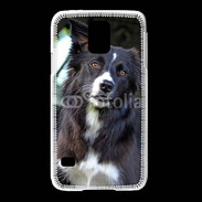 Coque Samsung Galaxy S5 Border collie 500