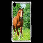 Coque Sony Xperia Z3 Cheval arabe robe marron et blanche