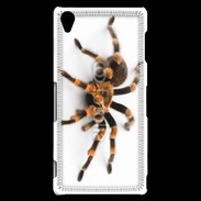 Coque Sony Xperia Z3 Araignée tarentule