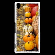 Coque Sony Xperia Z3 Citrouilles