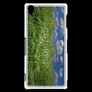 Coque Sony Xperia Z3 Champs de cannabis