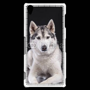Coque Sony Xperia Z3 Chien Husky de Sibérie