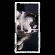 Coque Sony Xperia Z3 Chiot Husky de Sibérie