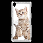 Coque Sony Xperia Z3 Adorable chaton 7