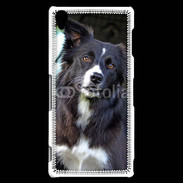 Coque Sony Xperia Z3 Border collie 500