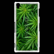 Coque Sony Xperia Z3 Feuilles de marijuana