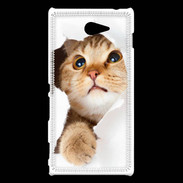 Coque Sony Xperia M2 Chaton caché