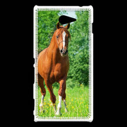 Coque Sony Xperia M2 Cheval arabe robe marron et blanche