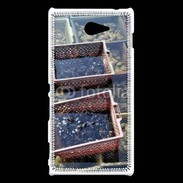Coque Sony Xperia M2 Conchyliculteur