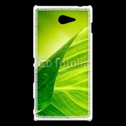 Coque Sony Xperia M2 Feuille écologie