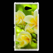 Coque Sony Xperia M2 Fleurs Frangipane