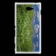 Coque Sony Xperia M2 Champs de cannabis
