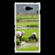 Coque Sony Xperia M2 Rizière au Vietnam