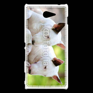 Coque Sony Xperia M2 Chien Bull terrier anglais 1