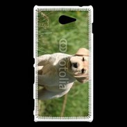 Coque Sony Xperia M2 Mignon petit labrador