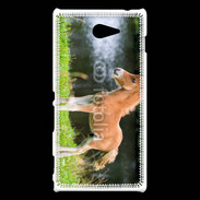 Coque Sony Xperia M2 Poulain marron et blanc