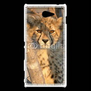 Coque Sony Xperia M2 Jeune félin