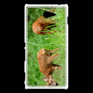 Coque Sony Xperia M2 Chevreuil PB 1