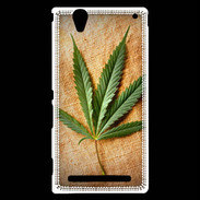 Coque Sony Xperia T2 Ultra Feuille de cannabis sur toile beige