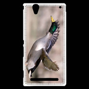 Coque Sony Xperia T2 Ultra Canard Colvert 2