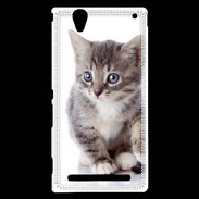 Coque Sony Xperia T2 Ultra chaton gris 4