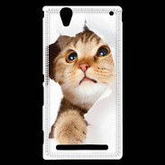 Coque Sony Xperia T2 Ultra Chaton caché