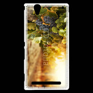 Coque Sony Xperia T2 Ultra Pied de vigne en automne