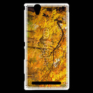 Coque Sony Xperia T2 Ultra Arbres en automne